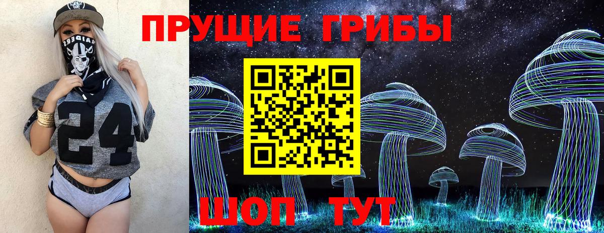 Псилоцибиновые грибы Magic Shrooms  Вход с VPN  Мелеуз  Псилоцибиновые грибы Psilocybe 